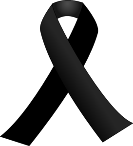 La Mancomunidad de municipios Altamira-Los Valles muestra su pesar y tristeza por el asesinato de Celia Barquín